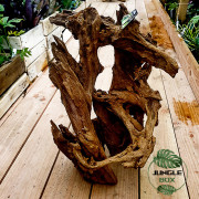 RACINE MANGROVE GM 40-60CM