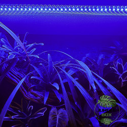 LED Bar 60 cm – Sunrise, Sunset and Full Moon