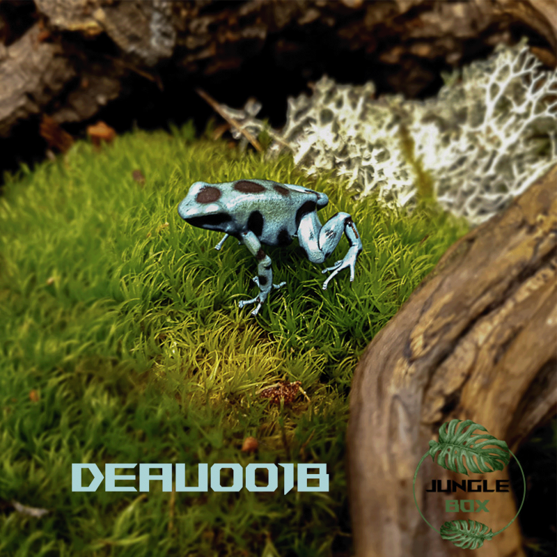 Dendrobates auratus Bronze