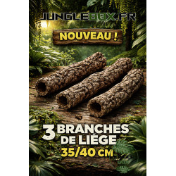 3 Natural Hollow Cork Bark Tubes – Diameter 5 to 8 cm