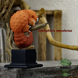 Figurine gecko eublepharis