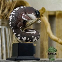 Figurine gecko aeluroscalabotes felinus