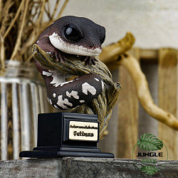 Figurine gecko aeluroscalabotes felinus