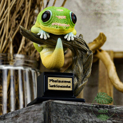 Figurine gecko phelsuma laticauda
