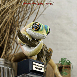 Figurine pachydactylus rangei