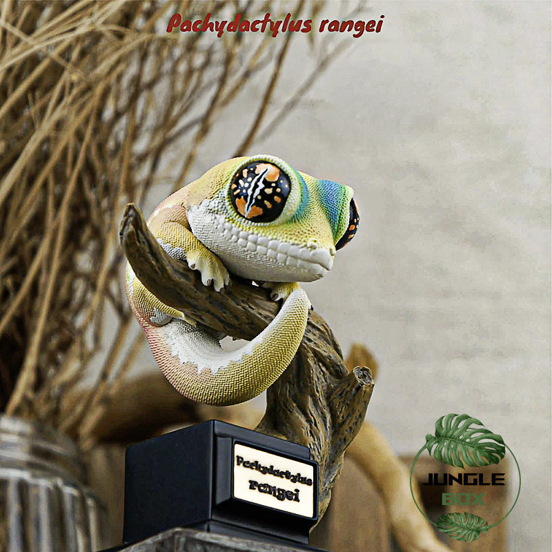 Figurine pachydactylus rangei