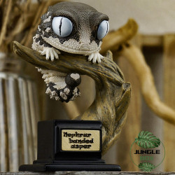 Figurine gecko nephrurus