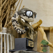 Figurine gecko nephrurus