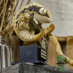 Figurine gecko geckolepis megalepis