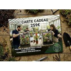 Carte cadeau atelier junglebox terrarium 30x30x45