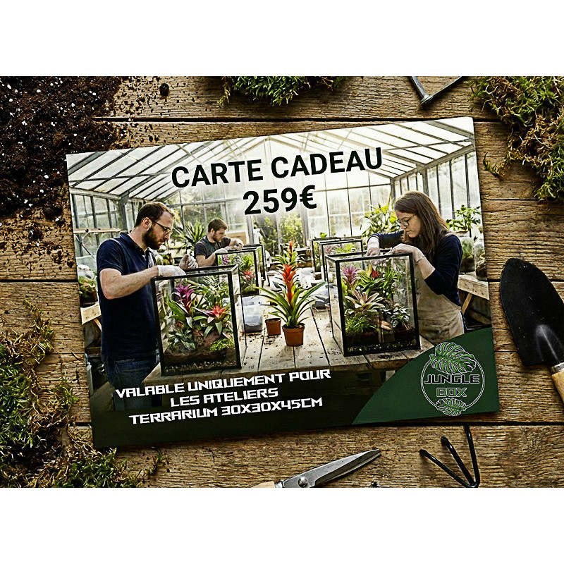 Carte cadeau Atelier junglebox