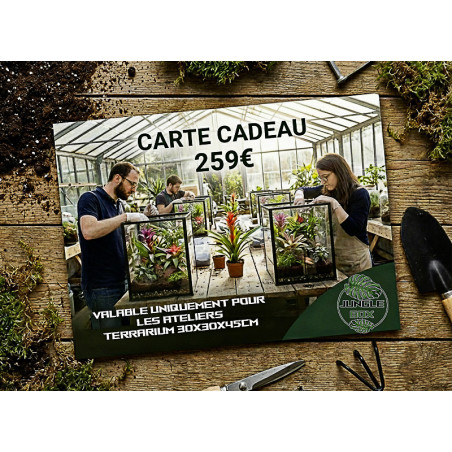 Carte cadeau Atelier junglebox