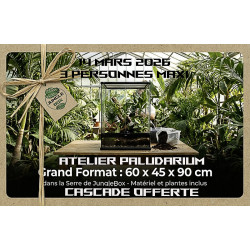 Paludarium Planté cascade – 60x45x90 cm