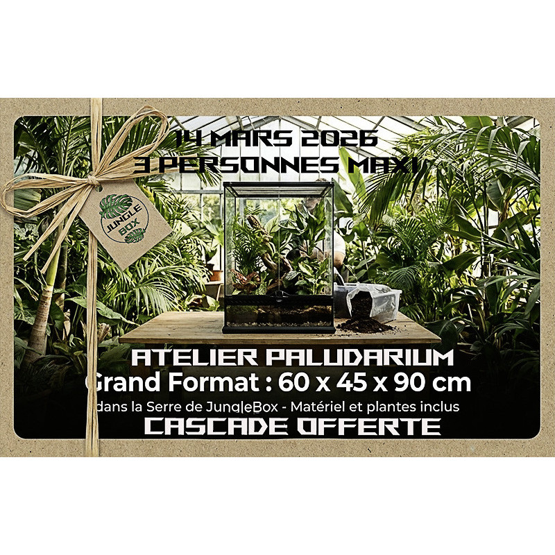 Paludarium Planté cascade – 60x45x90 cm