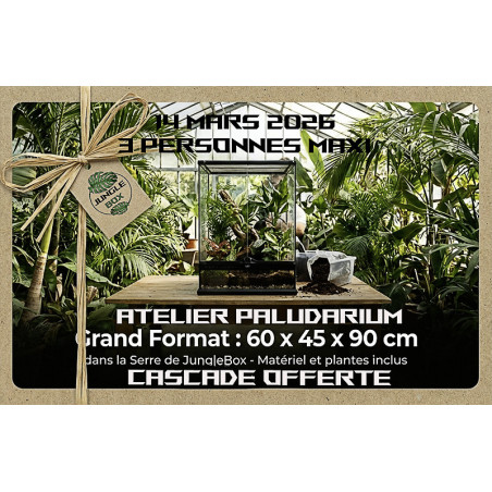 Paludarium Planté cascade – 60x45x90 cm