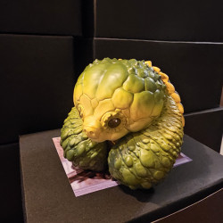 figurine tortue alligator de face