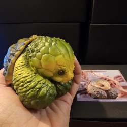 Figurine tortue alligator de profil