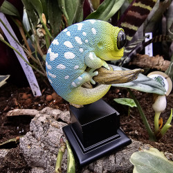 figurine de la collection gecko en résine peinte à la main