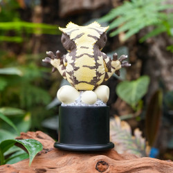 Figurine gecko à crète