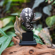 Figurine Gecko sur Socle – Décoration Nature & Terrarium