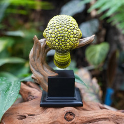 Figurine gecko tarentola mauritanica