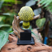 Figurine gecko tarentola mauritanica