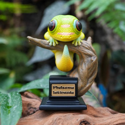Figurine gecko phelsuma laticauda
