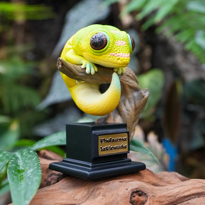Figurine en résine - Gecko diurne à poussière d'or  (Phelsuma laticauda)