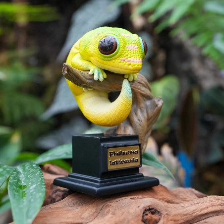 Figurine en résine - Gecko diurne à poussière d'or  (Phelsuma laticauda)