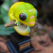 Figurine Gecko sur Socle – Décoration Nature & Terrarium