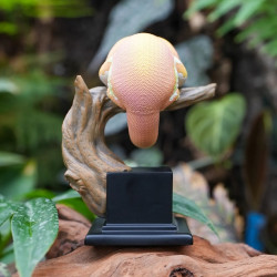 Figurine Gecko sur Socle – Décoration Nature & Terrarium