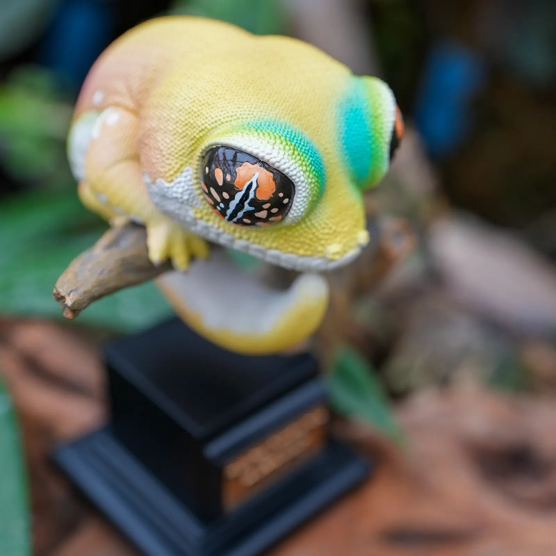 figurine pachydactylus rangei