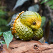 Figurine en résine - Tortue Alligator (Macrochelys temminckii)