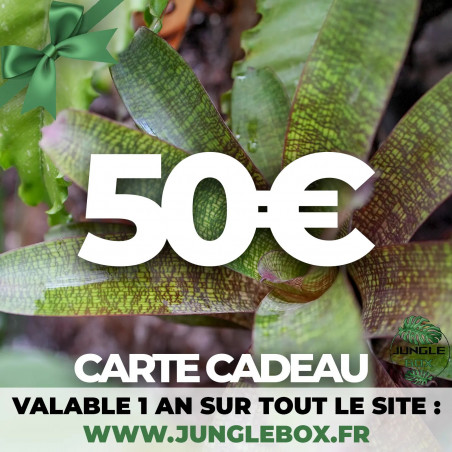 Carte cadeau 50 €