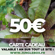 JungleBox €50 Gift Card – The Perfect Green Gift