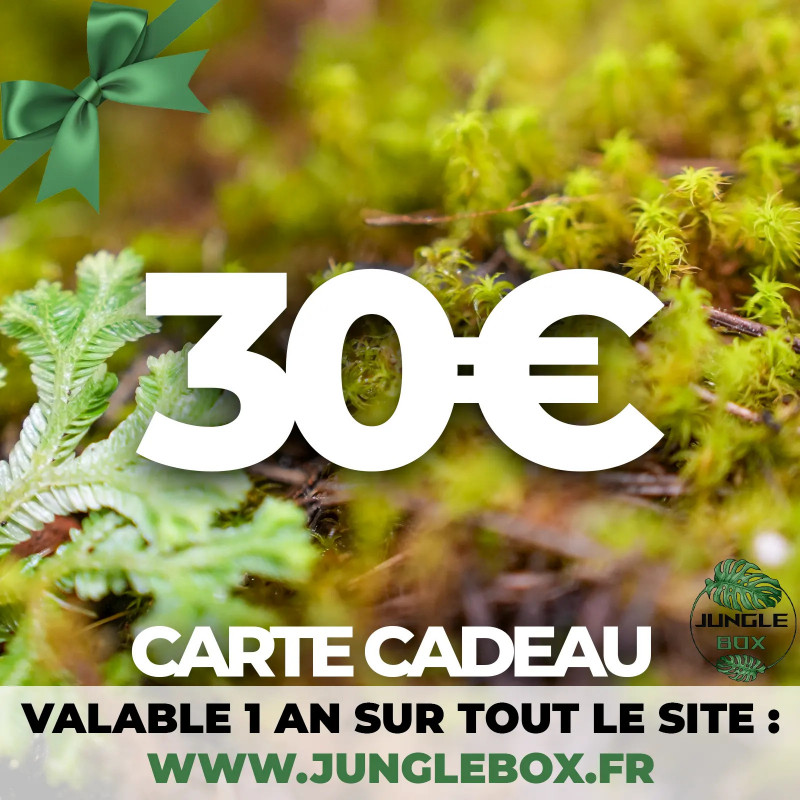 gift card 30€ junglebox