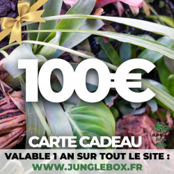 Carte cadeau 100 €
