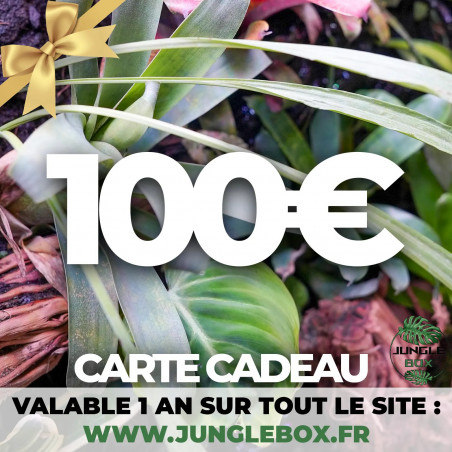 Carte cadeau 100 €