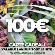 Carte cadeau 100 €