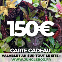 Carte cadeau 150 €