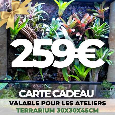 Carte cadeau Atelier junglebox