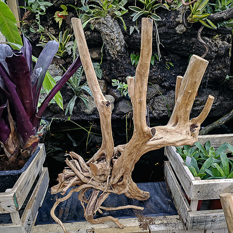 Racine stump wood XL