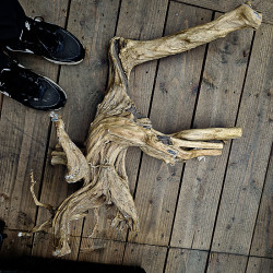 Racine Stump Wood XL – Bois naturel aquarium & terrarium