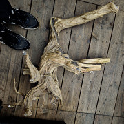 Racine Stump Wood XL – Bois naturel aquarium & terrarium