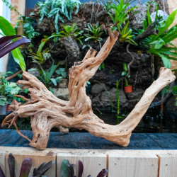 Racine stump wood XL