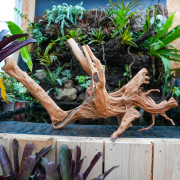 Racine Stump Wood XL – Bois naturel aquarium & terrarium