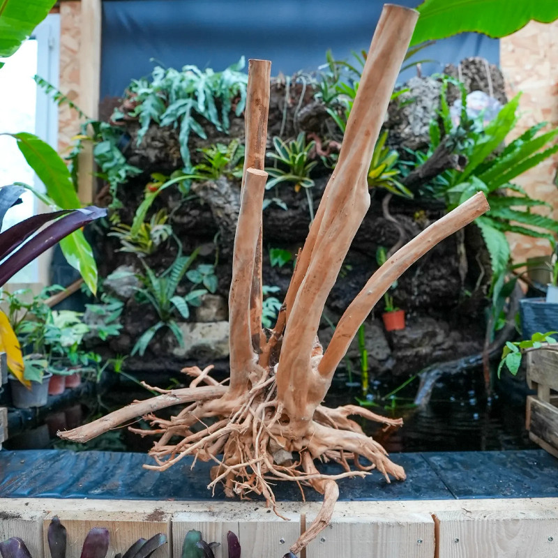 Racine Stump Wood XL – Bois naturel aquarium & terrarium