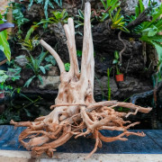 Racine Stump Wood XL – Bois naturel aquarium & terrarium