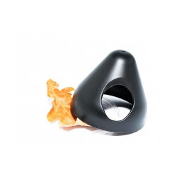 Pondoir pour dendrobates