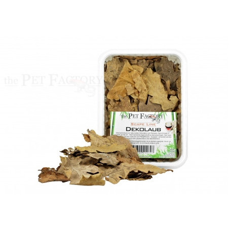 Feuilles naturelles pour terrarium